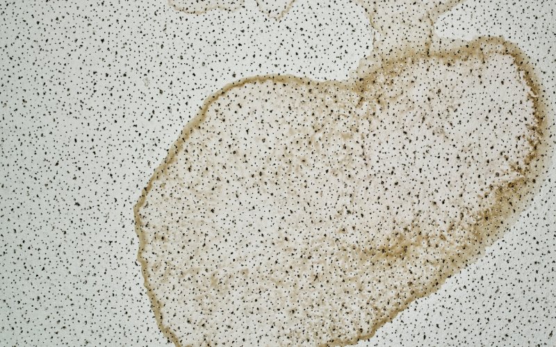 dried water stain ceiling leak rain